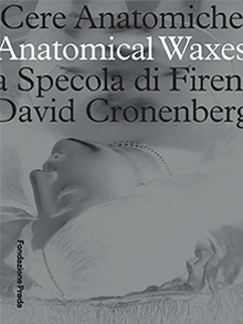 Cere Anatomiche. La Specola 