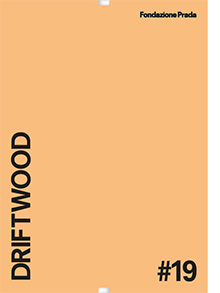 #19 DRIFTWOOD