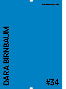 #34 DARA BIRNBAUM