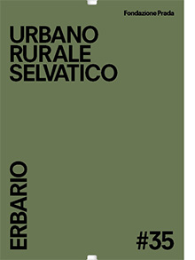 #35 URBANO RURALE SELVATICO